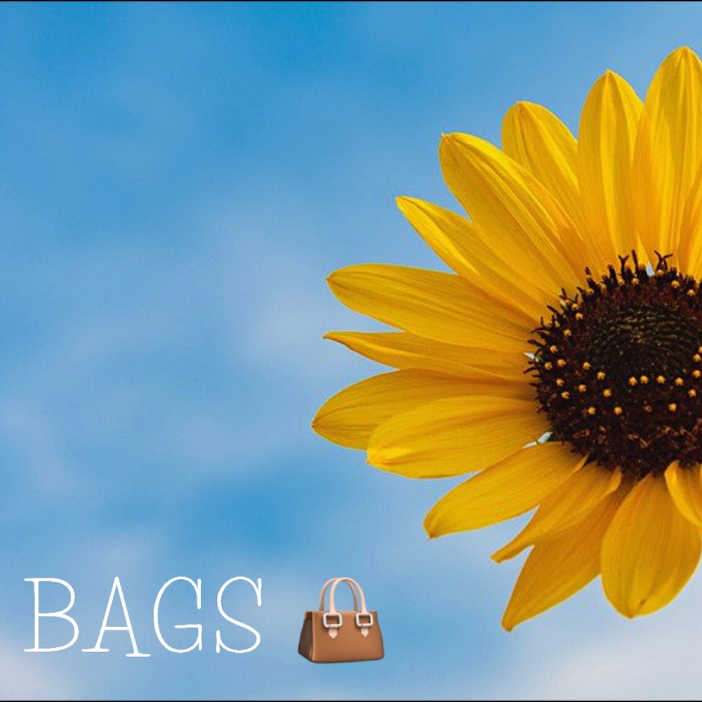BAGS in Kimmee’s Closet